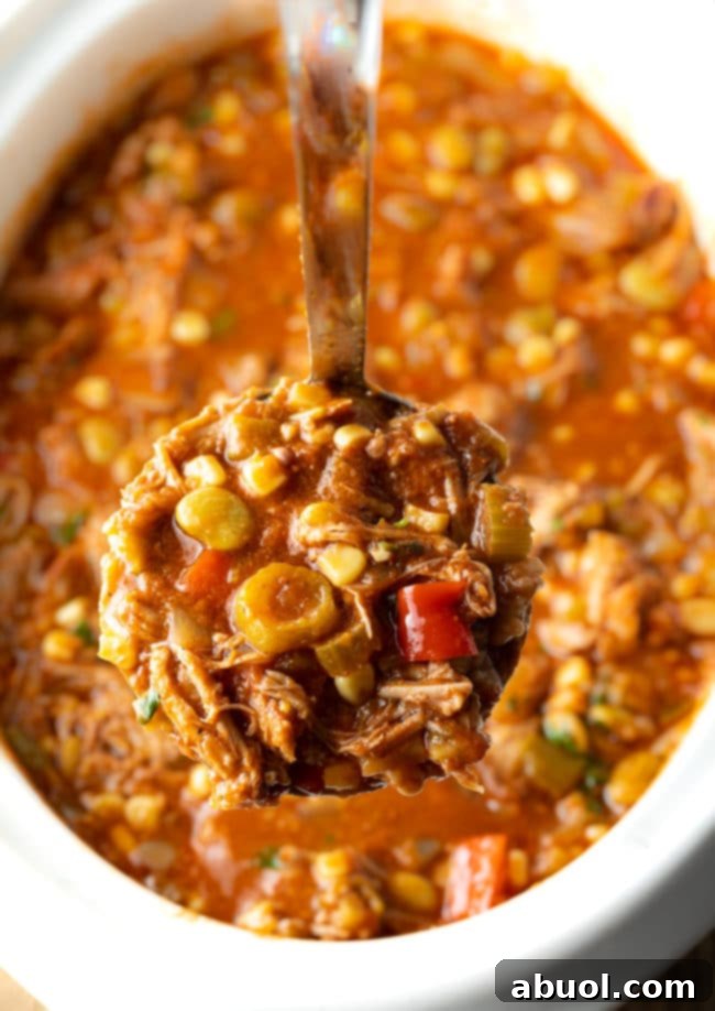 Set It and Forget It Brunswick Stew 8 A ladle filled with rich Southern stew, poised above the steaming pot, ready to serve.