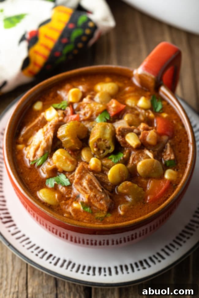 Set It and Forget It Brunswick Stew 9 A large serving of hearty Brunswick Stew in a white bowl, garnished with fresh herbs, ready to be enjoyed.
