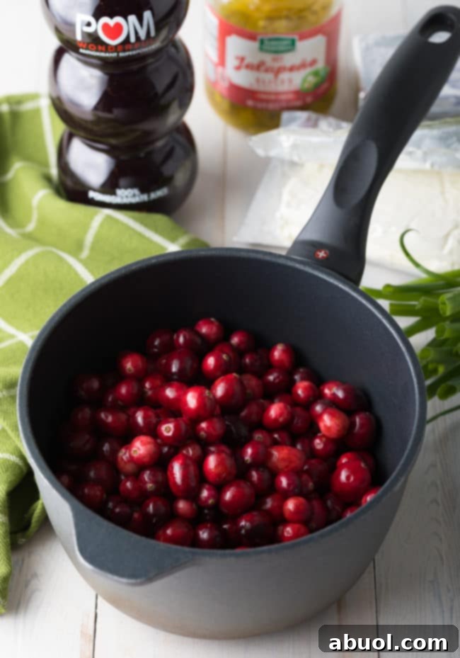 frozen cranberries in pot with pomegranate juice