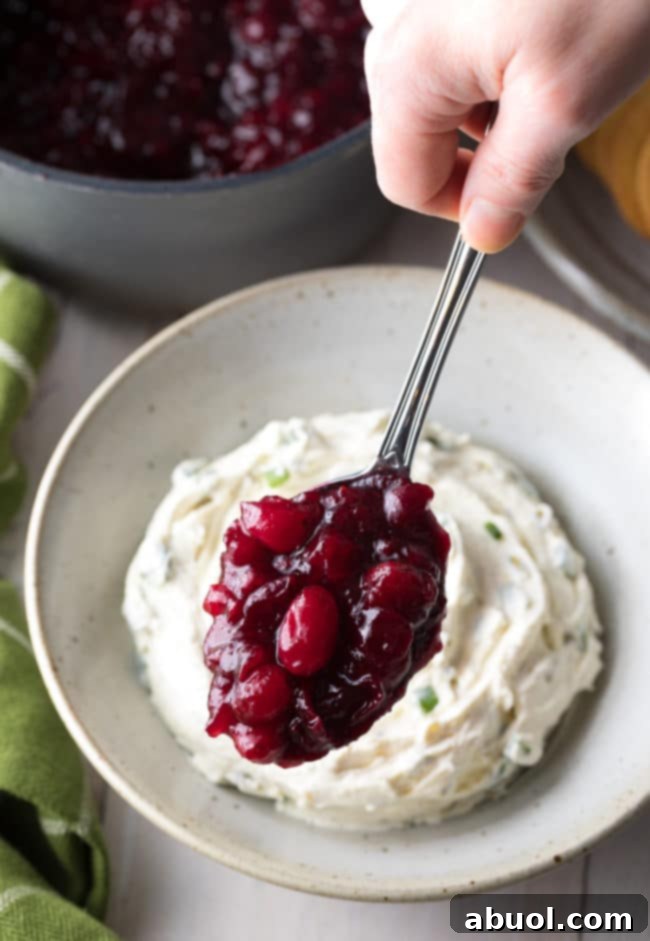sweet and spicy pomegranate cranberry topping on spoon over cream cheese dip