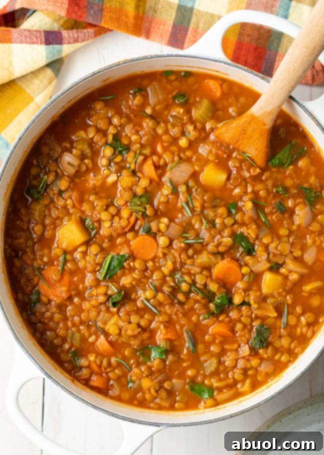 Hearty Tuscan Lentil Soup 2 Tuscan Lentil Soup Recipe (Gluten-Free & Vegan!) #ASpicyPerspective #glutenfree #vegetarian #vegan #instantpot #crockpot #slowcooker #lentils #plantbased