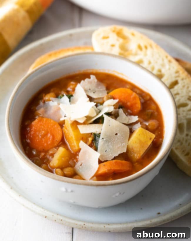 Hearty Tuscan Lentil Soup 3 Vegetarian Lentil Soup Recipe (Gluten-Free & Vegan!) #ASpicyPerspective #glutenfree #vegetarian #vegan #instantpot #crockpot #slowcooker #lentils #plantbased