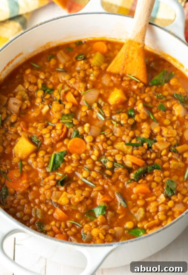 Hearty Tuscan Lentil Soup 9 Vegan Lentil Soup Recipe (Gluten-Free & Vegan!) #ASpicyPerspective #glutenfree #vegetarian #vegan #instantpot #crockpot #slowcooker #lentils