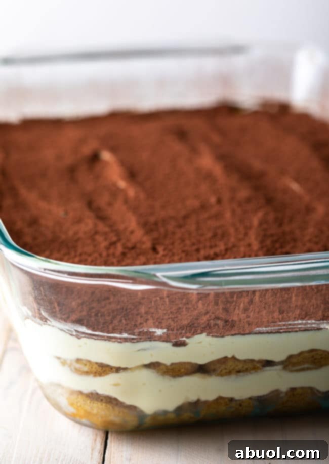 The final Tiramisu, beautifully layered and chilled, sits ready in a baking dish, promising a delightful dessert experience.