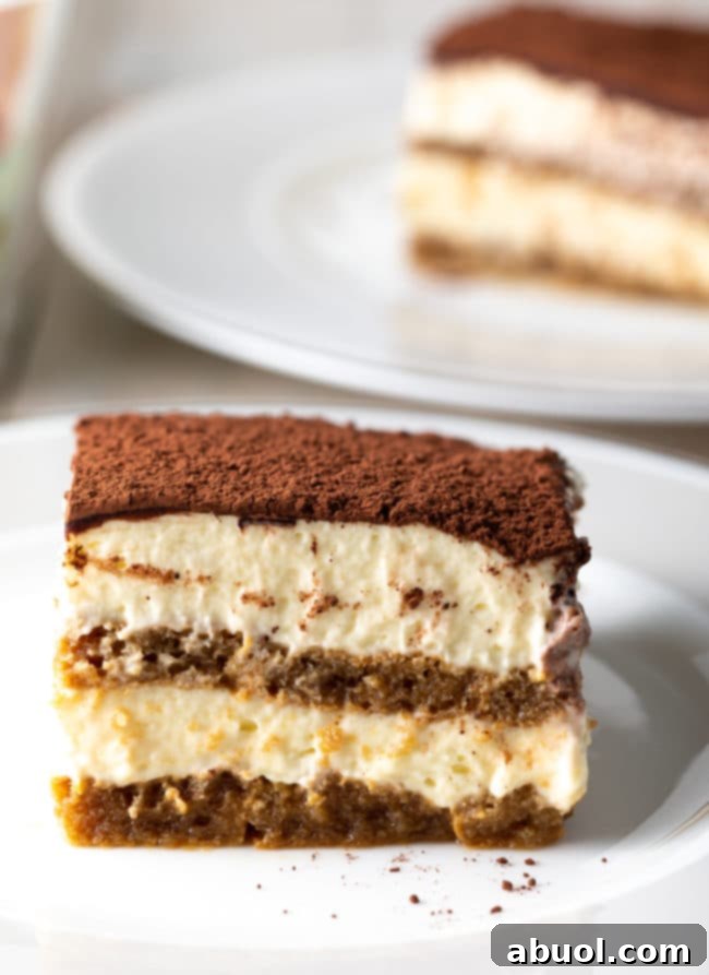 A delectable slice of easy tiramisu cake rests elegantly on a pristine white plate, inviting a taste of its creamy, layered goodness.