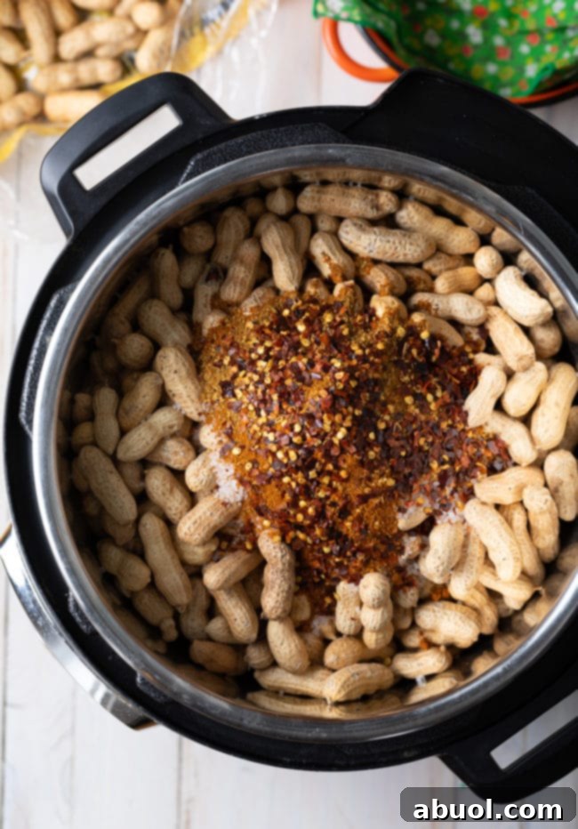 Peanuts in an Instant Pot with spices piled on top.