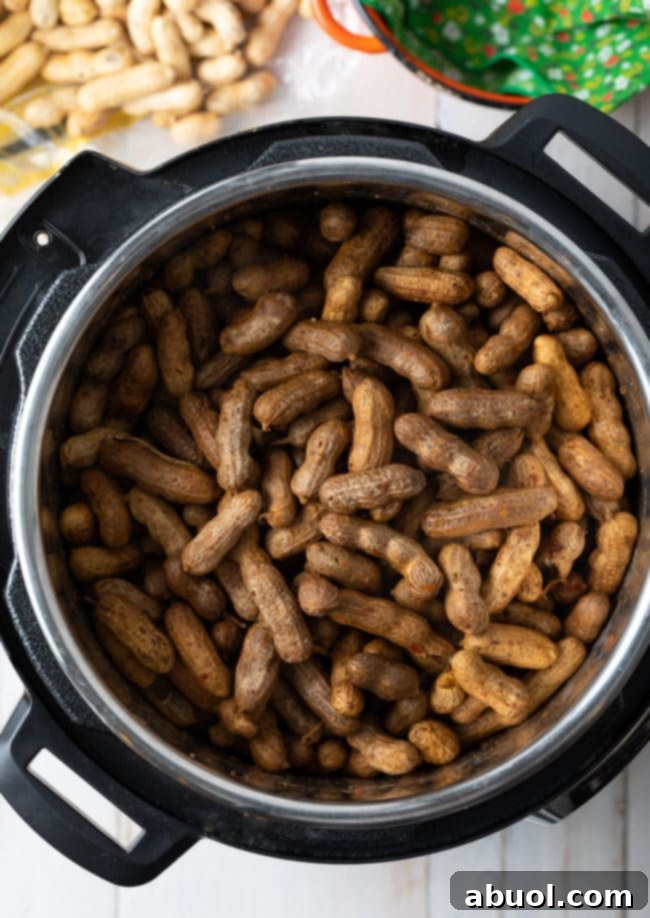 Perfect Boiled Peanuts Recipe (3 Ways!) #ASpicyPerspective #instantpot #pressurecooker #stovetop #crockpot #slowcooker #southern #peanuts