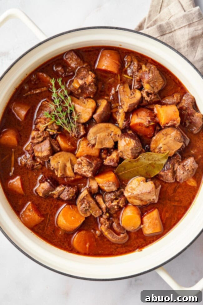 pot of venison bourguignon overhead shot with herbs