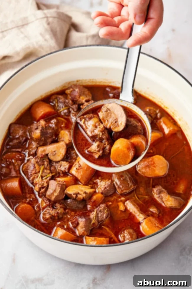 Big pot of venison bourguignon on a table with ladle. 