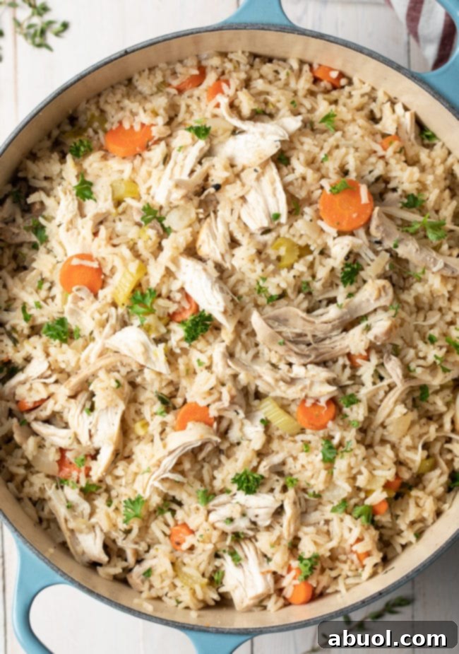 Chicken and rice in a large Dutch oven pot, ready to be served. 