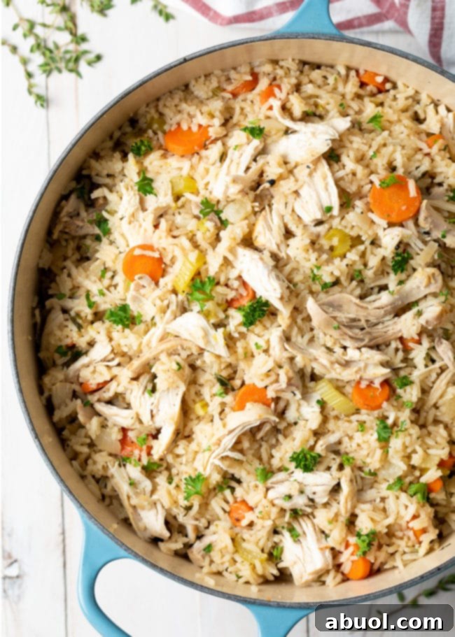 Overhead shot of chicken and rice in a large pot, steaming hot.