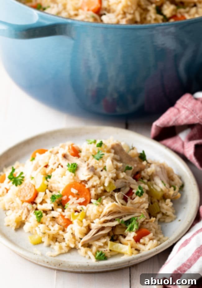 Chicken and rice served on a white plate with the pot of chicken and rice in the background. 
