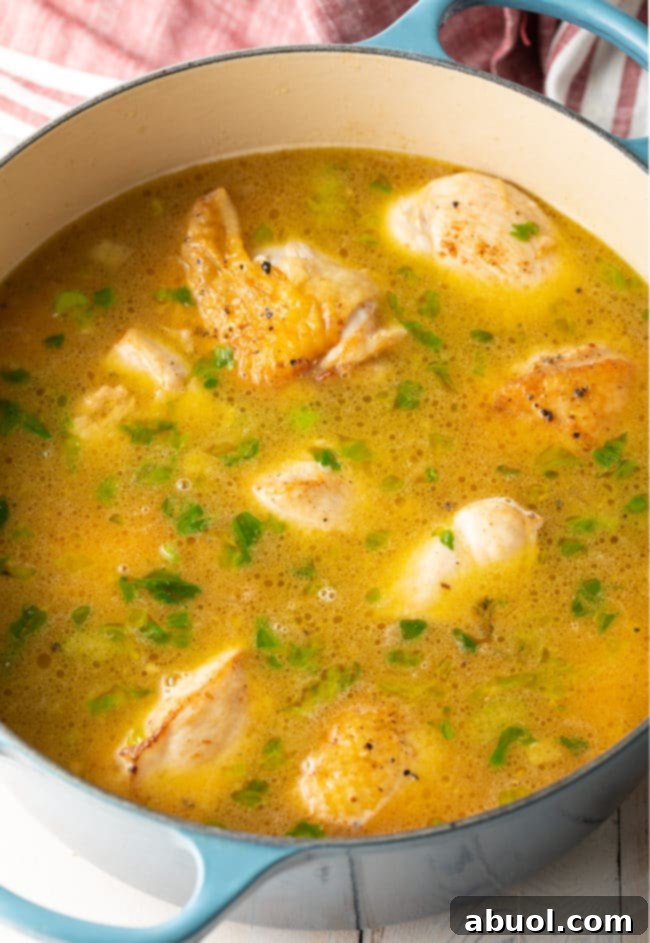Sauteed chicken and veggie covered in broth in a pot, ready to simmer.