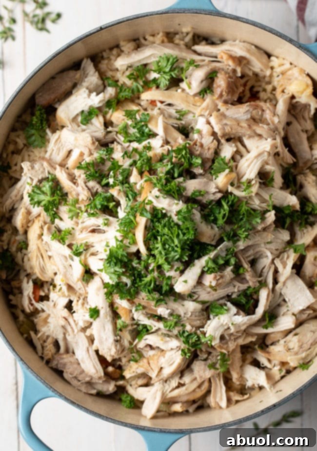 Cooked Instant Pot Chicken and Rice, garnished with fresh herbs.