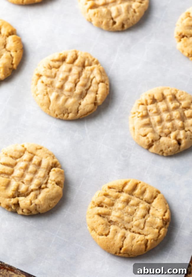 Secret ingredient peanut butter cookies cooling on a baking sheet after being baked to golden perfection.