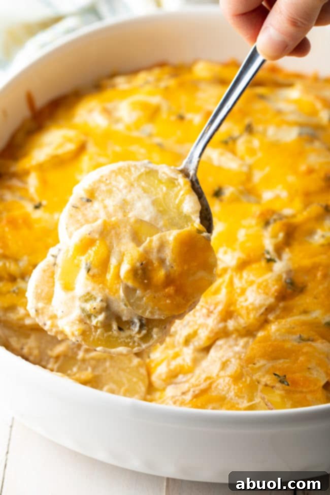 Irresistibly cheesy scalloped potatoes au gratin in a rustic baking dish, ready to be served with a large serving spoon.