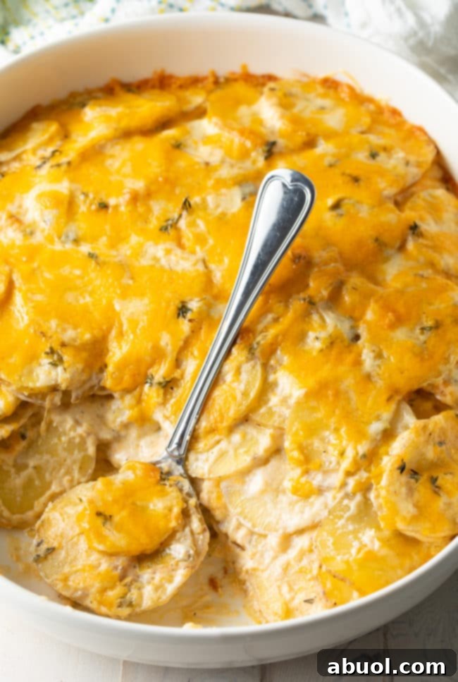 Close-up overhead view of the best cheesy scalloped potatoes, showing soft, thin potato slices within the creamy sauce.