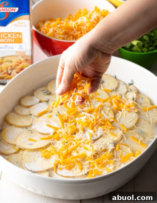 Layering the thinly sliced potatoes, sauce, and cheese in a baking dish for Cheesy Gratin Dauphinois.