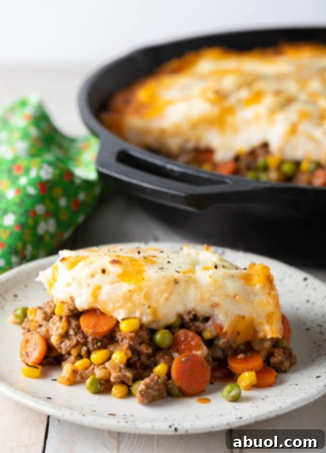 A perfectly portioned serving of Cottage Pie on a rustic plate, revealing the rich, textured filling and the inviting mashed potato crust.