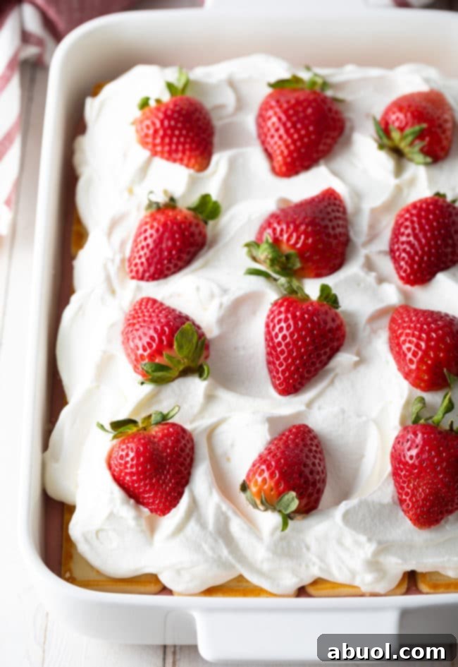 Strawberry Pudding from Scratch with fresh berries