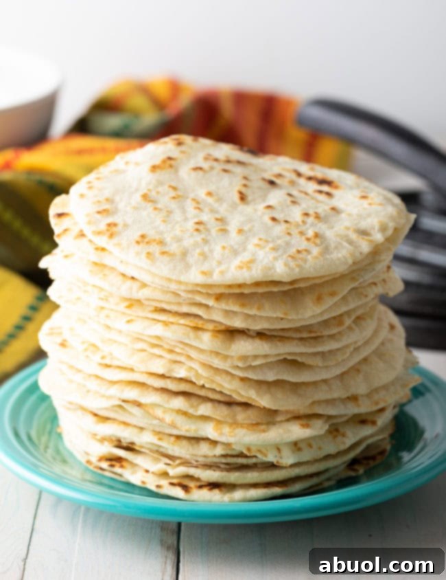 Easy Flour Tortilla Recipe - How To Make Flour Tortillas 
