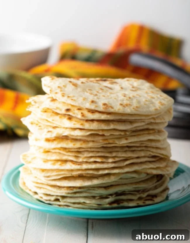 Learn How To Make Flour Tortillas - Homemade Flour Tortillas