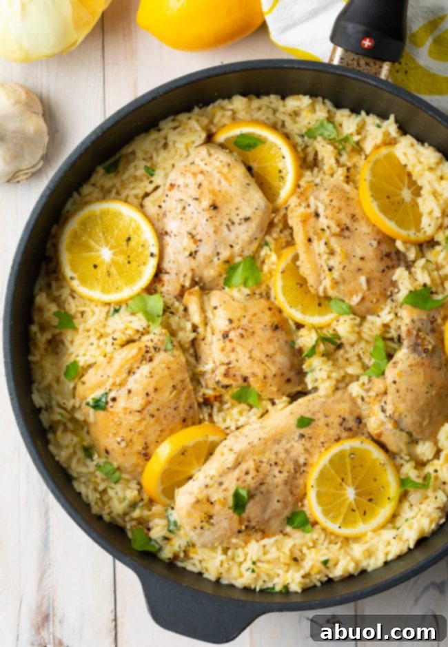 A vibrant, overhead view of Lemon Parmesan Chicken and Rice Skillet in a rustic cast iron pan, garnished with fresh lemon slices and parsley.
