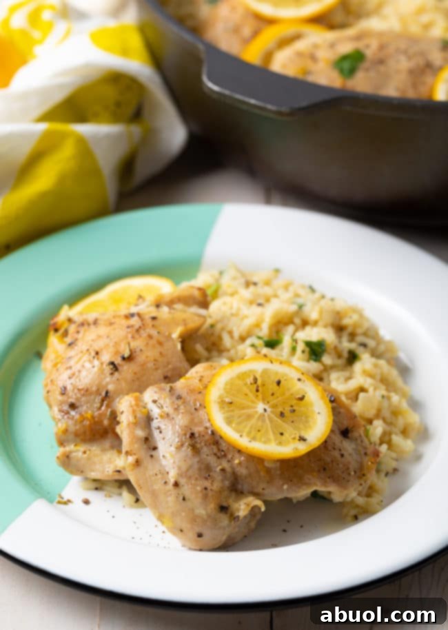 A perfectly plated serving of Lemon Parmesan Chicken and Rice Skillet, showcasing creamy rice and golden chicken, garnished with fresh parsley.