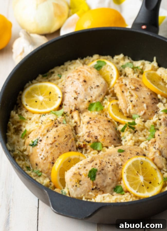Close-up of creamy lemon chicken and rice skillet recipe, beautifully plated with fresh lemon slices and a sprinkle of parsley.