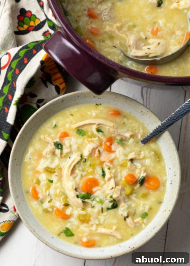 A beautifully plated serving of creamy chicken and rice soup in a white bowl, garnished with fresh parsley from a top-down perspective, highlighting its rich texture and wholesome ingredients.