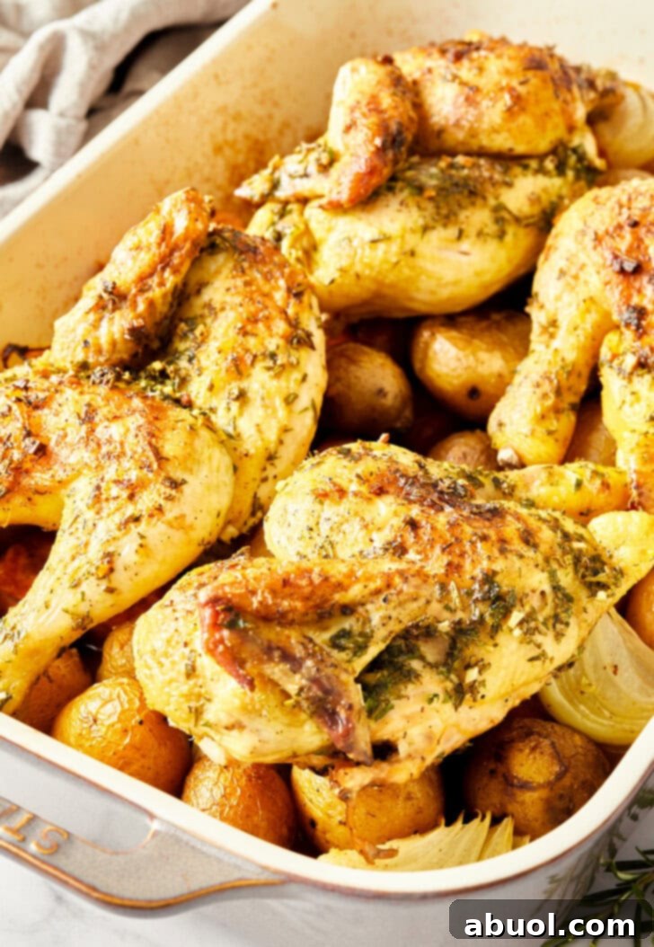 Baked Cornish hens in a roasting dish, golden brown and cooked, resting on a bed of roasted vegetables.