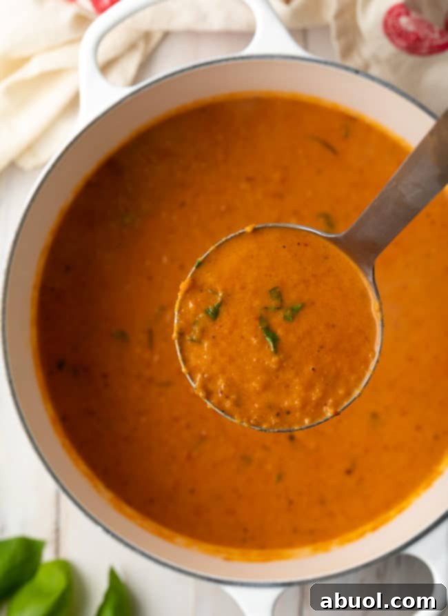 Roasted Tomato and Basil Velvet 10 Ladle of creamy tomato soup being held above the pot of soup.