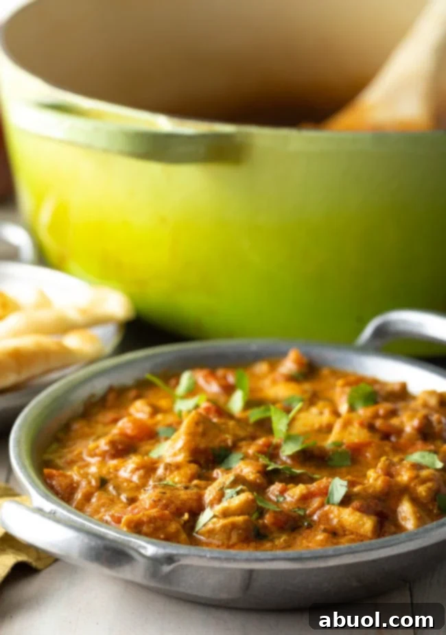 Fiery South Indian Chicken Curry 4 Madras Curry with chicken in a bowl with cilantro on top.