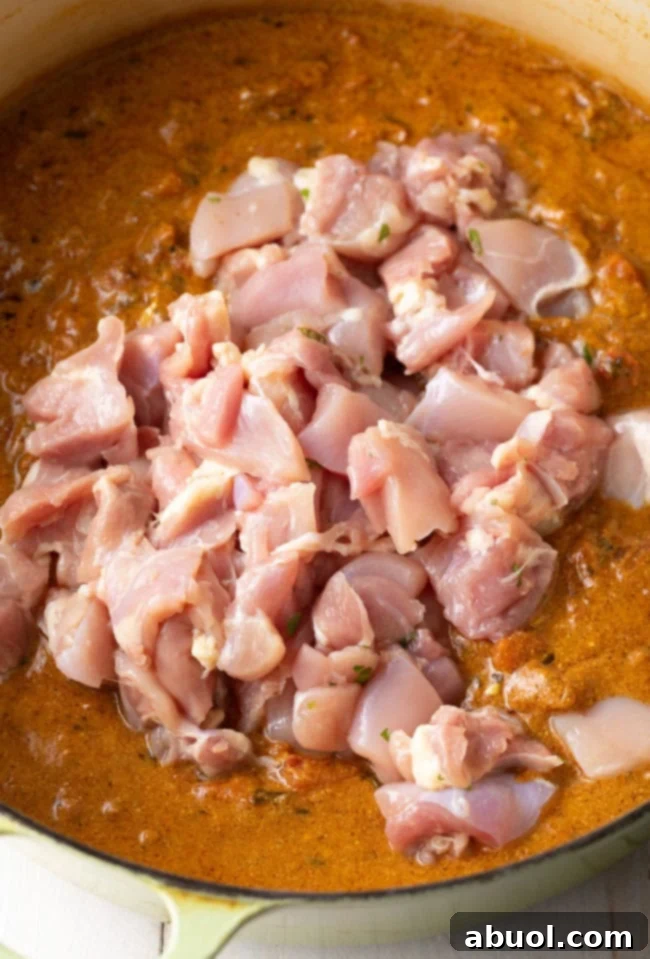 Fiery South Indian Chicken Curry 9 Simmer the Chicken Curry sauce