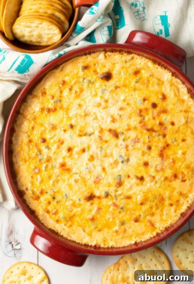A complete serving of the Cajun Hot Shrimp Dip Recipe in a beautiful presentation, surrounded by dippers.