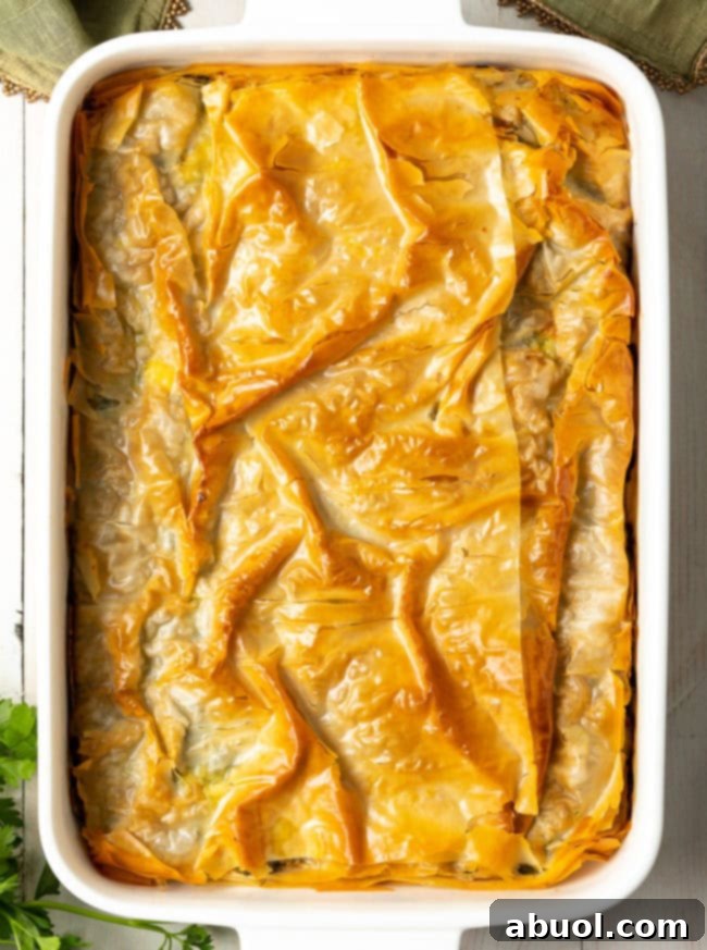 Cheese Spinach Pie Recipe