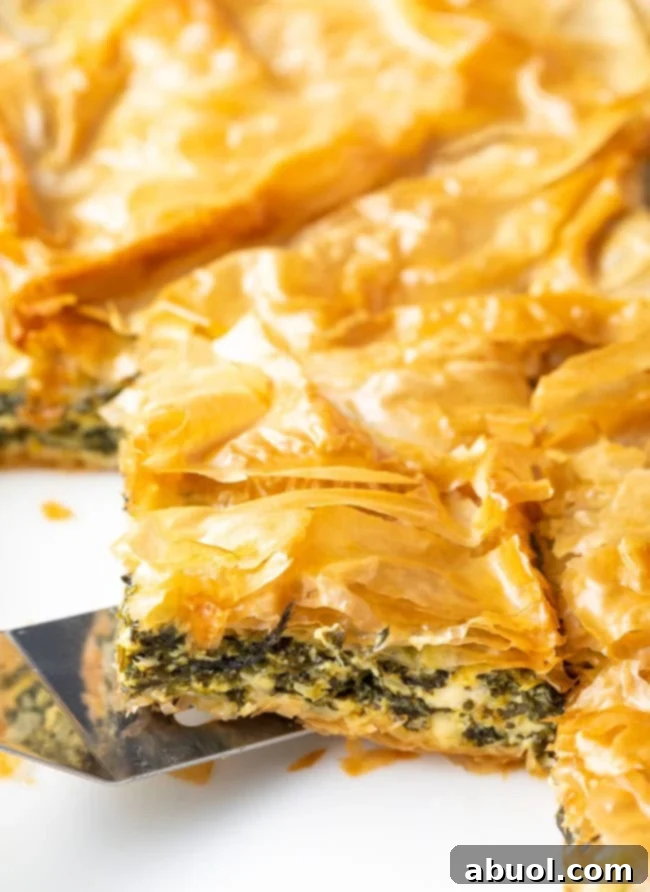 Crispy Savory Pie