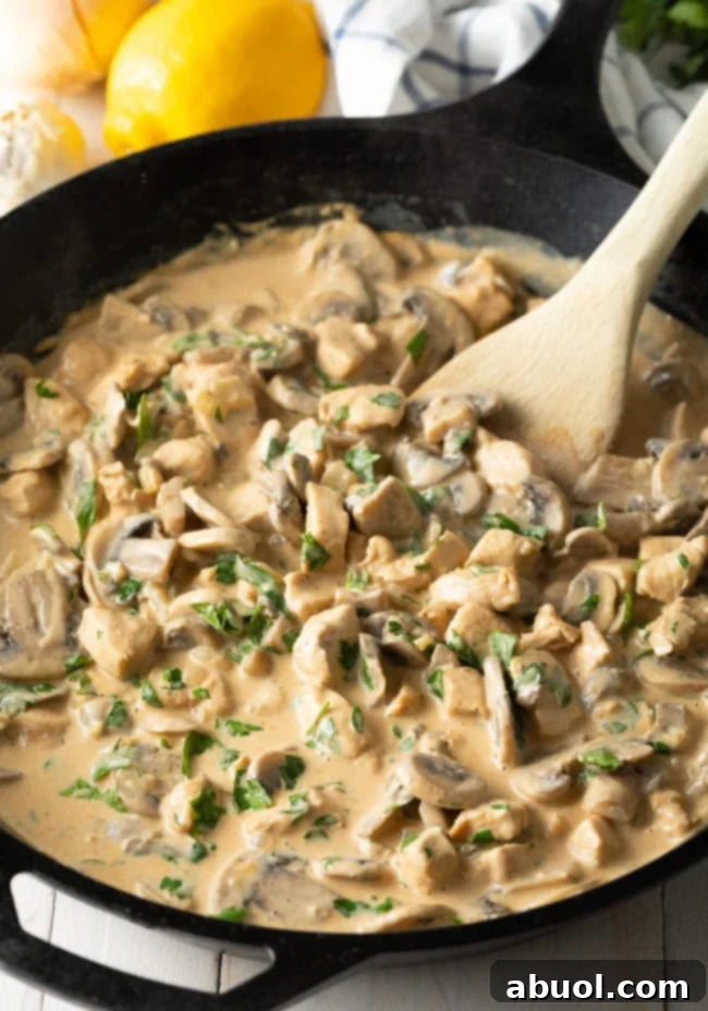 Creamy Skillet Cajun Chicken & Mushrooms | A Spicy Perspective