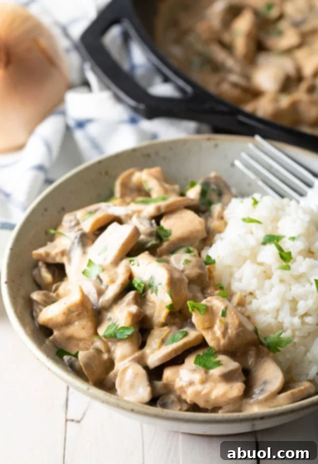 Creamy Skillet Cajun Chicken & Mushrooms | A Spicy Perspective