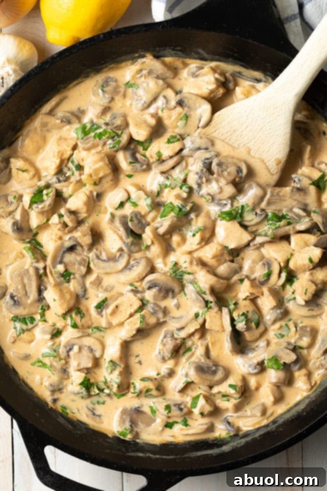 Cajun Chicken & Mushrooms | A Spicy Perspective