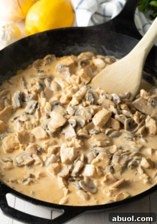 mushrooms and chicken with smooth, spicy sauce