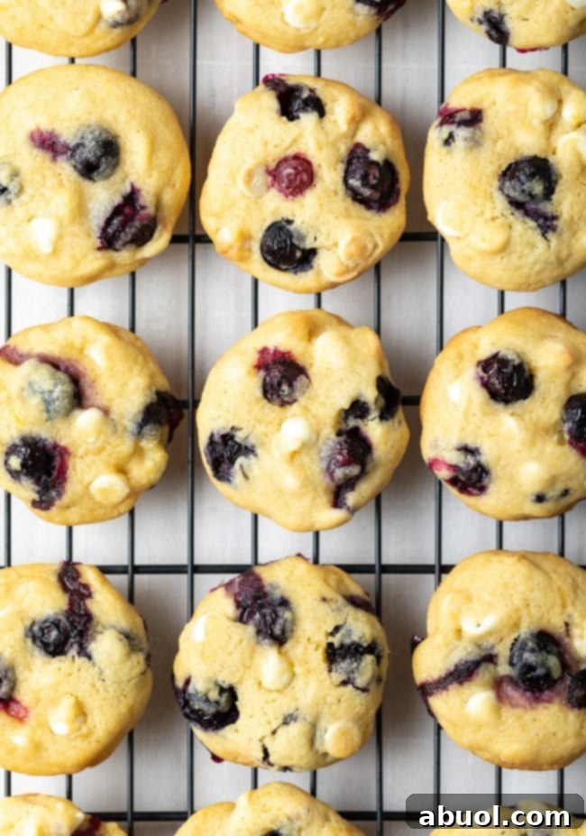 Overhead shot of blueberry cookies on a wire rack after being baked.