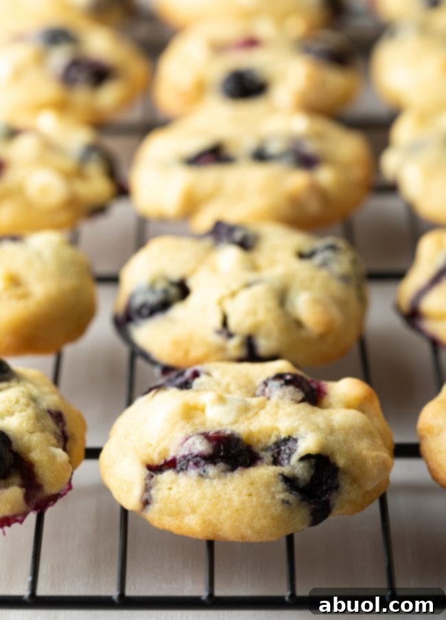 Blueberry cookies on a wire rack after being baked.