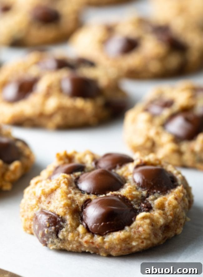 A close-up shot of a perfectly baked banana oatmeal cookie, featuring visible chocolate chips and a subtly chewy texture.