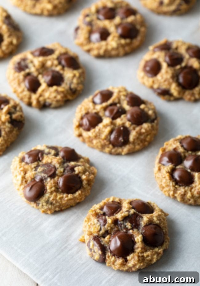 Freshly baked banana oatmeal cookies, adorned with chocolate chips, neatly arranged on a baking sheet, ready to cool.