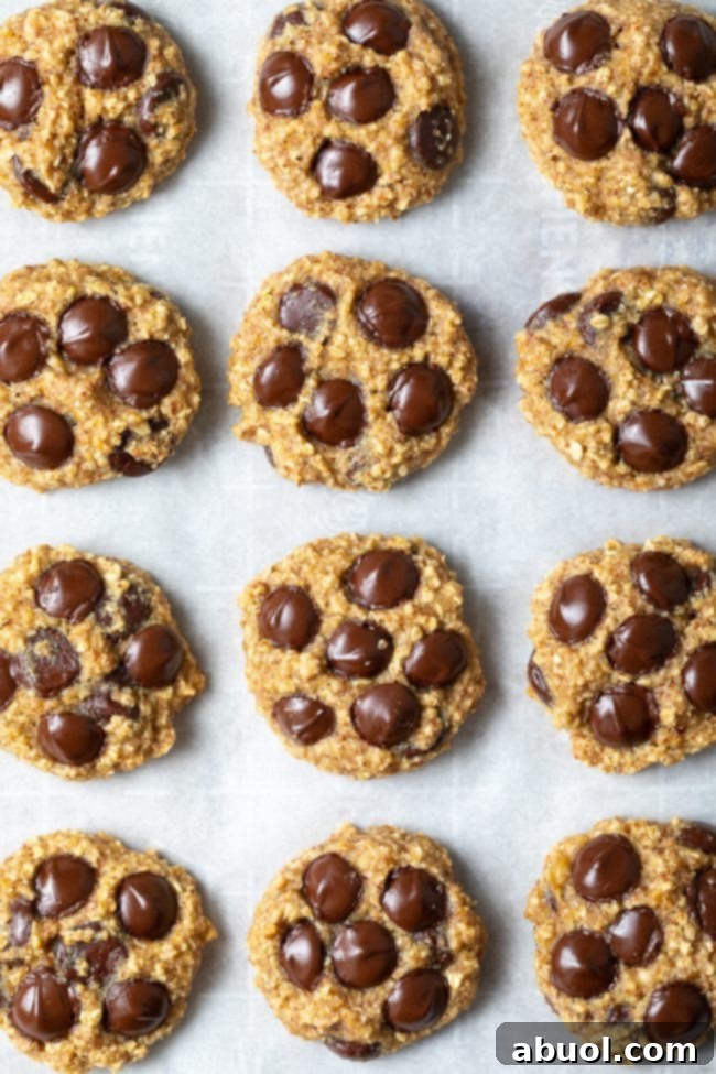 A top-down view captures a dozen golden-brown chocolate chip cookies, freshly baked and cooling on parchment paper on a baking sheet.
