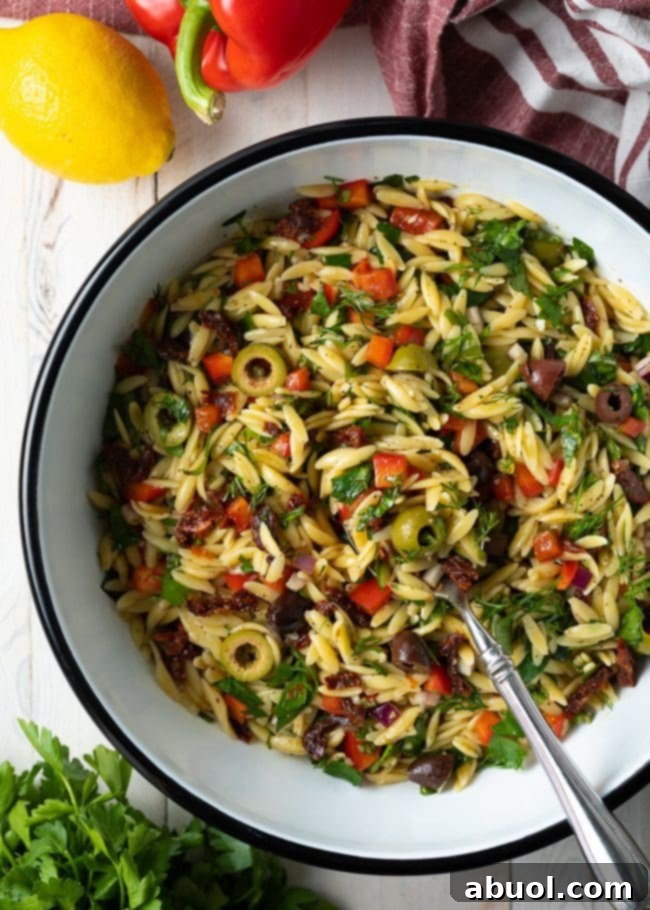 Overhead shot of Greek Orzo Pasta Salad in a large serving bowl, highlighting colorful ingredients like olives, sun-dried tomatoes, and bell peppers.