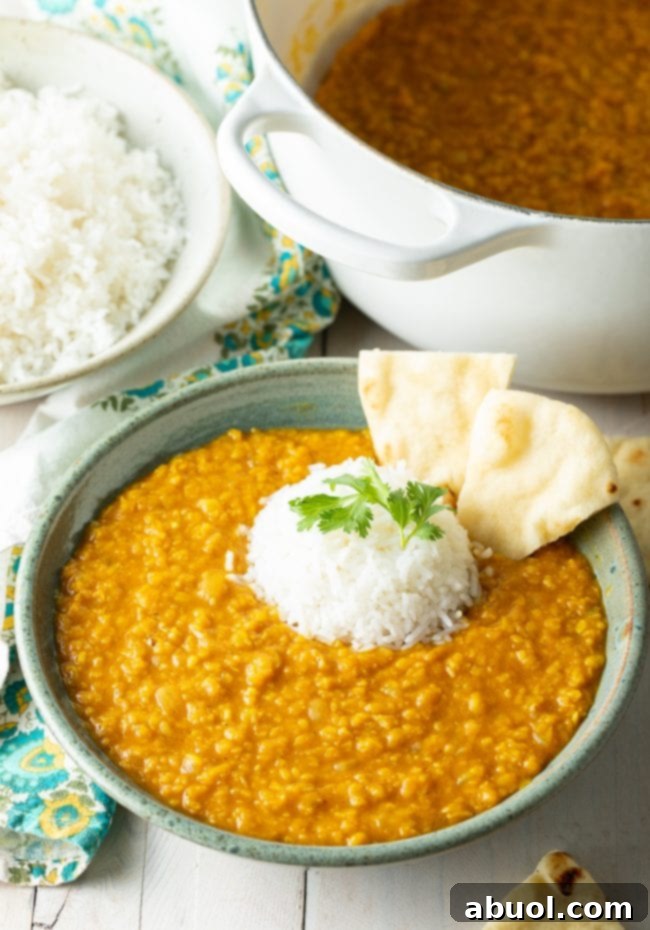 Perfect Mung Dal Recipe 2 Homemade Moong Dal served with fluffy white rice and warm pita bread, elegantly topped with fresh parsley