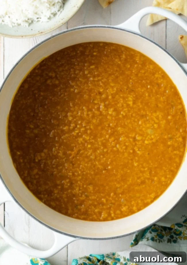 Perfect Mung Dal Recipe 6 Close-up shot of creamy Moong Dal lentil stew, rich in color and texture