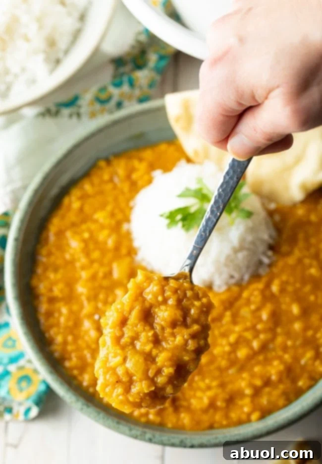 Perfect Mung Dal Recipe 7 A spoonful of creamy Moong Dal against a blurred background